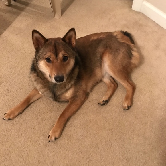 Meet your Posher - Picture 4 of 8